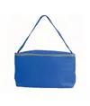 Borsa frigo in TNT, con interno argentato