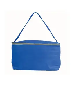 Borsa frigo in TNT, con interno argentato