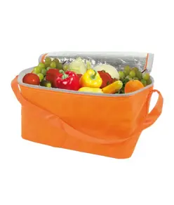 Borsa frigo in TNT, con interno argentato