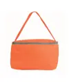 Borsa frigo in TNT, con interno argentato