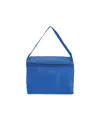 Borsa termica in poliestere 210T e interno argentato
