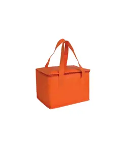 Borsa termica in TNT laminato e interno argentato