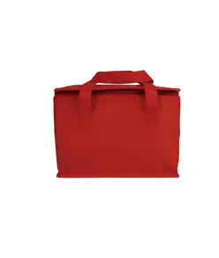Borsa termica in TNT laminato e interno argentato