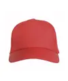 Cappellino in cotone, 5 pannelli