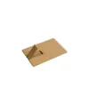 Chiavetta USB 4Gb a forma di tessera in paglia di grano e PP. Possibilità di import