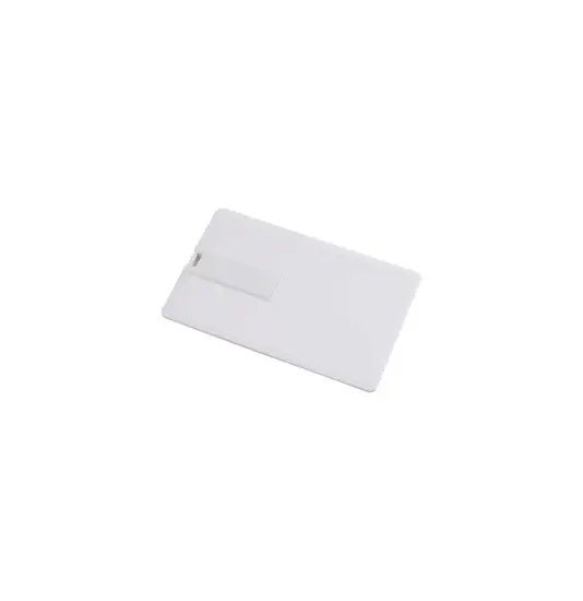 Chiavetta USB 4Gb, a forma di tessera in plastica . Possibilità di import