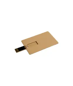 Chiavetta USB 8Gb a forma di tessera in paglia di grano e PP. Possibilità di import