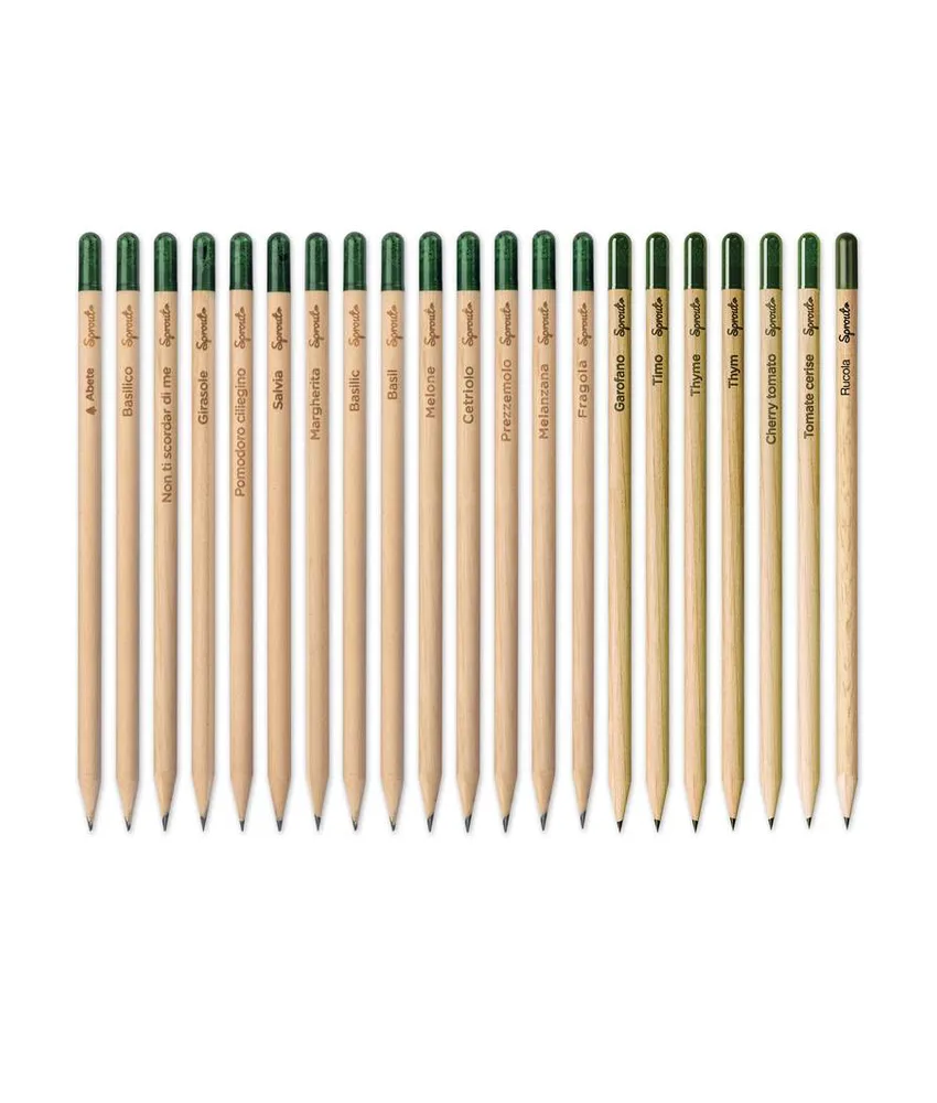 100 pezzi matita Sprout in legno sostenibile con mina in grafite, piantabile dopo l'utilizzo