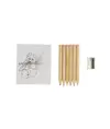 Set composto da 6 matite in legno colorate, temperino in plastica e album, in scatola