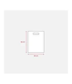 Shopper in TNT 80 g/m2 termosaldato Handle