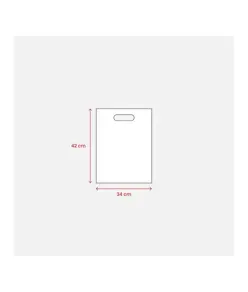 Shopper in TNT 80 g/m2 termosaldato Handle