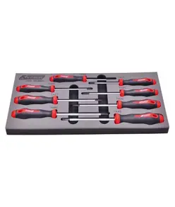giraviti Torx Security LTF