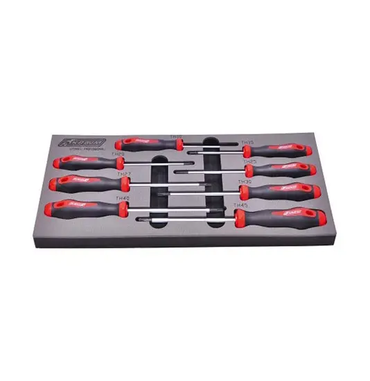 giraviti Torx Security LTF