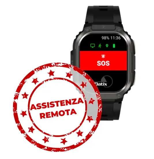 Assistenza online annuale per prodotti Datix