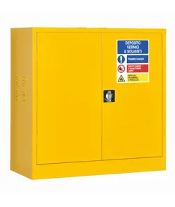 Armadio di sicurezza per liquidi pericolosi a 2 ante e 2 ripiani