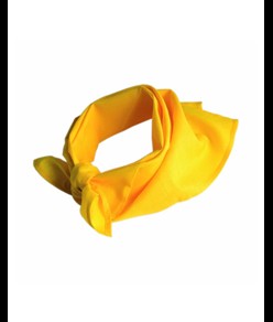 Foulard/bandana 100% cotone