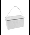 Borsa frigo in TNT, con interno argentato