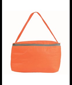 Borsa frigo in TNT, con interno argentato