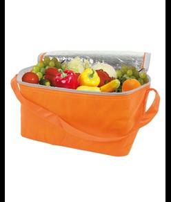 Borsa frigo in TNT, con interno argentato