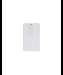 Chiavetta USB 4Gb, a forma di tessera in plastica . Possibilità di import