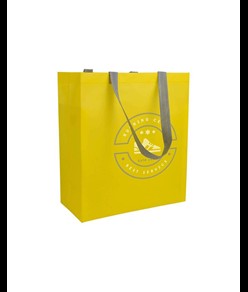 Shopper con soffietto in TNT laminato 100 g/m2 termosaldato, manici lunghi Handle