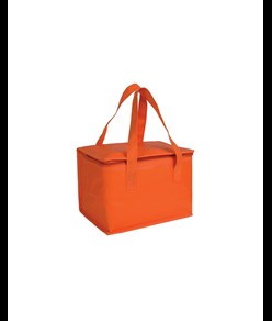 Borsa termica in TNT laminato e interno argentato