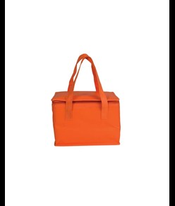 Borsa termica in TNT laminato e interno argentato