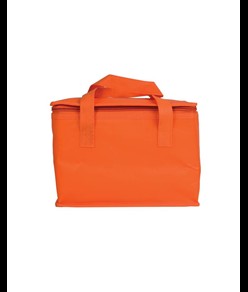 Borsa termica in TNT laminato e interno argentato