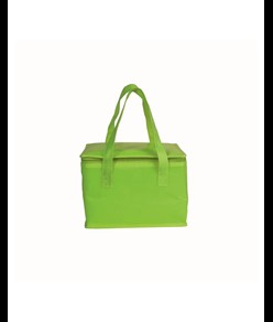 Borsa termica in TNT laminato e interno argentato