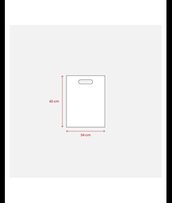 Shopper in TNT 80 g/m2 termosaldato Handle