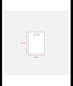 Shopper in TNT 80 g/m2 termosaldato Handle