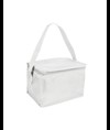 Borsa termica in poliestere 210T e interno argentato