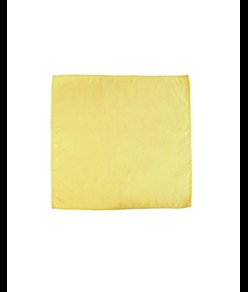 Panno per pulizia auto in microfibra 170 g/m2